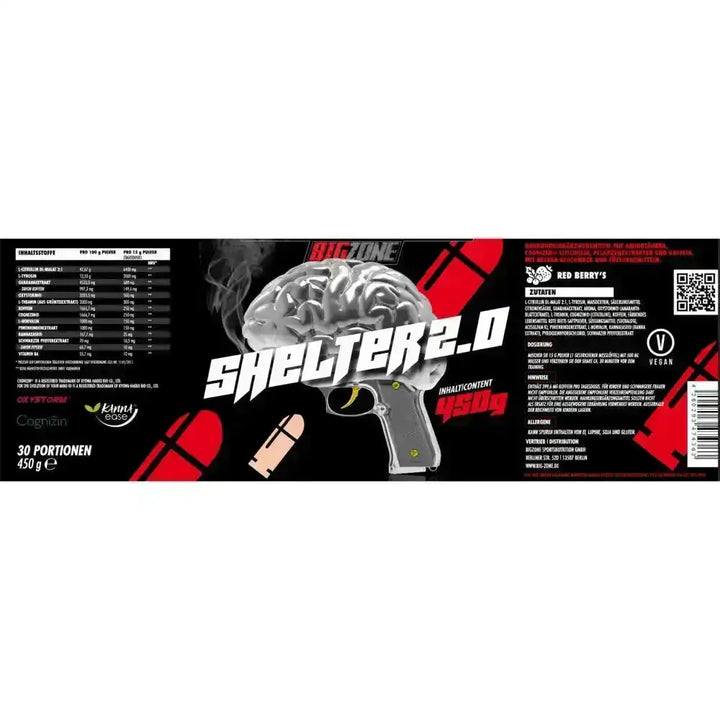 Big Zone Shelter 2.0 450g