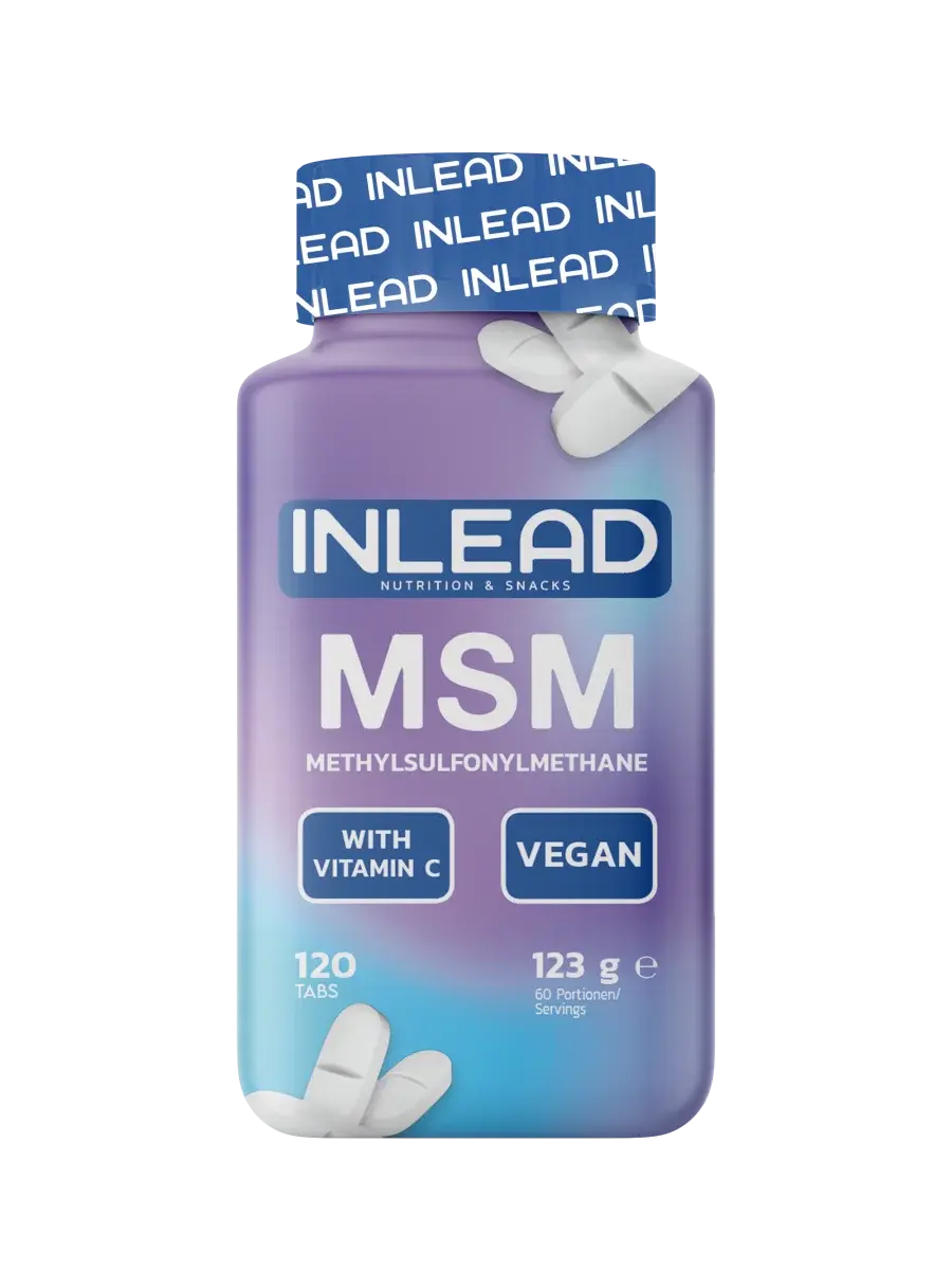 INLEAD MSM + Vitamins 120 Kapseln INLEAD